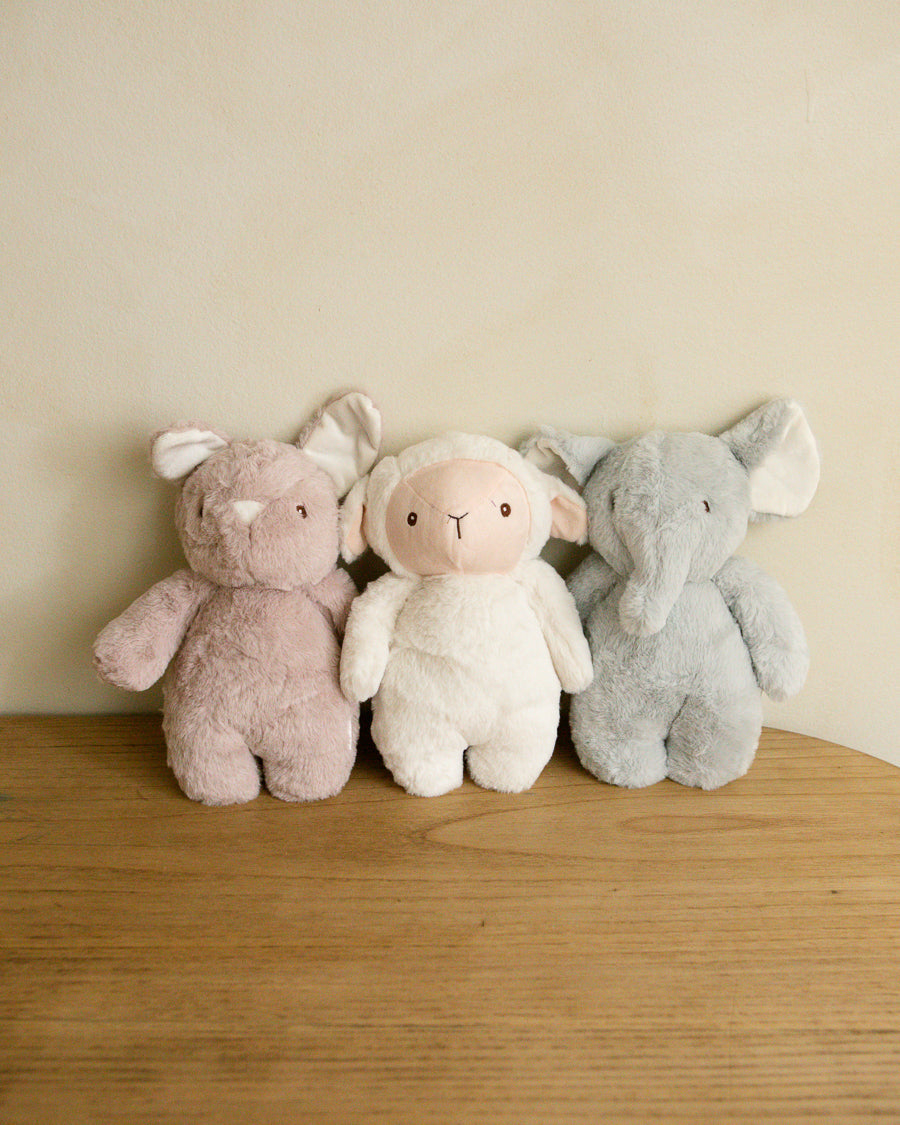 Peluche